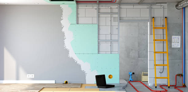 Best Attic Mold Removal  in Murrieta, CA